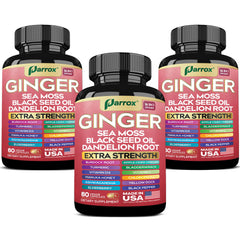 Parrox Ginger 16-in-1 bottle – front view