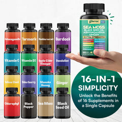 Parrox Sea Moss 16-in-1 Capsules label showing ingredients