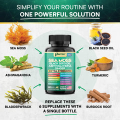 Dandelion, Yellow Dock, Elderberry and Chlorophyll in Parrox Sea Moss