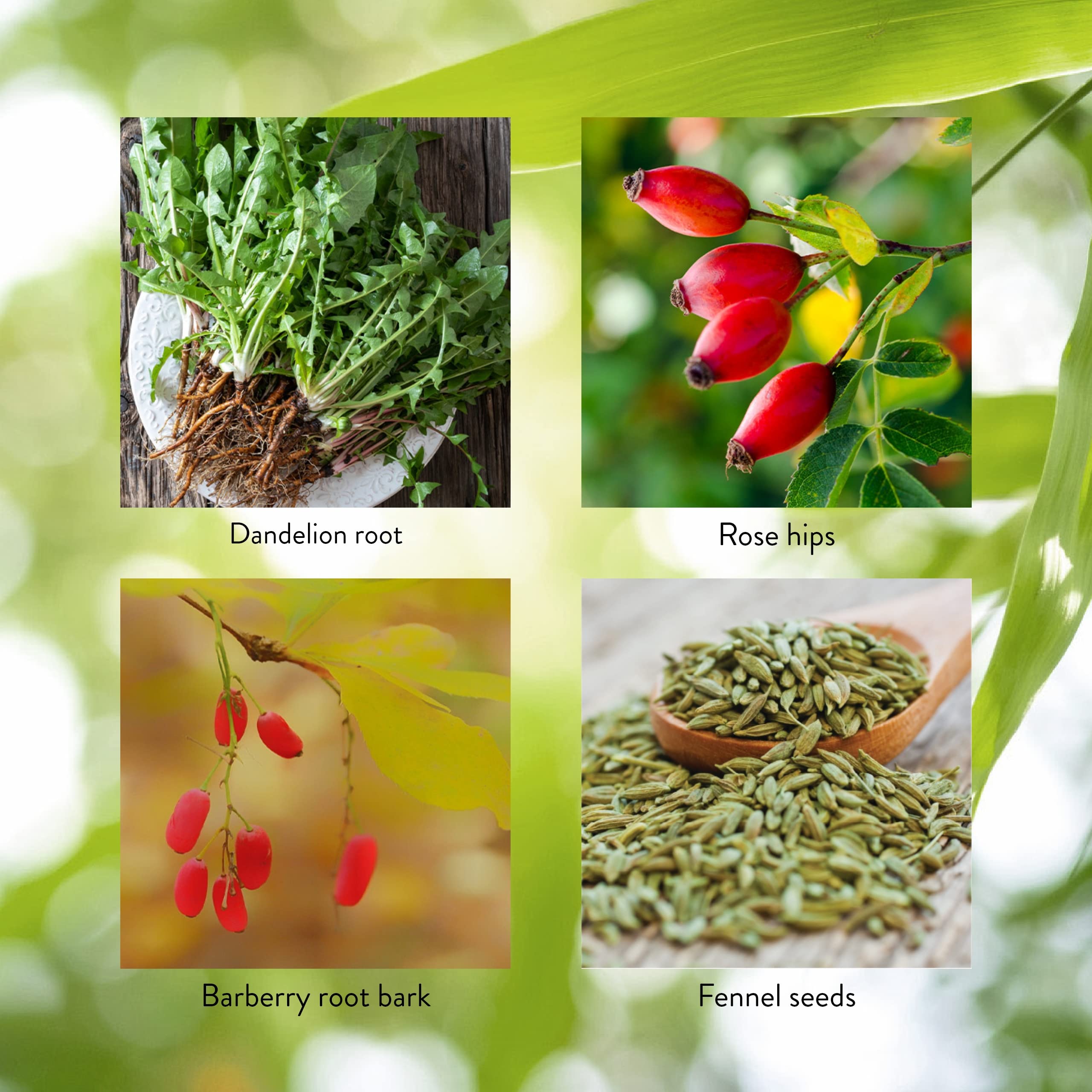 Parsley highlighting natural digestive deodorizing properties