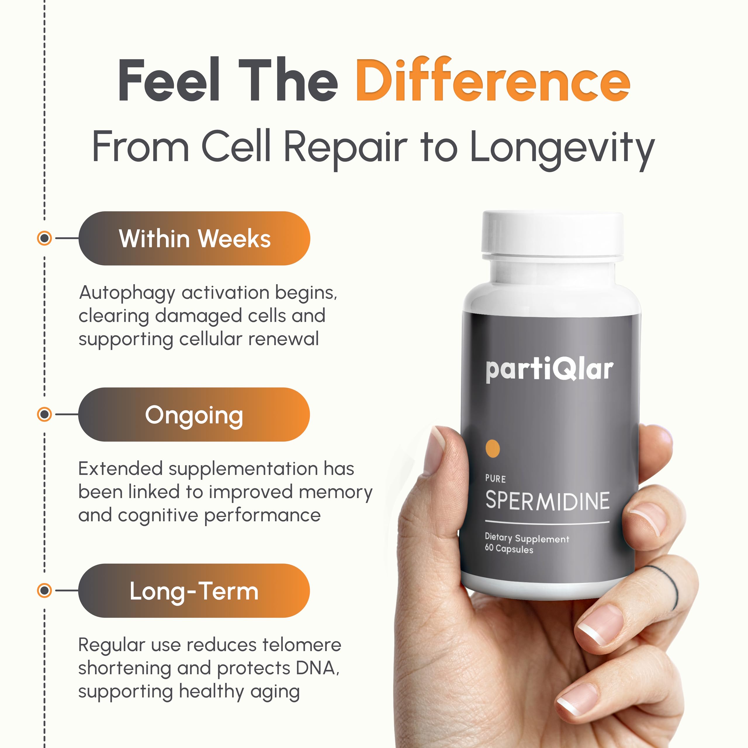 PartiQlar spermidine benefits illustration hints at cellular vitality support.