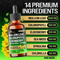 Close-up of passion flower, marigold, licorice, and motherwort ingredients