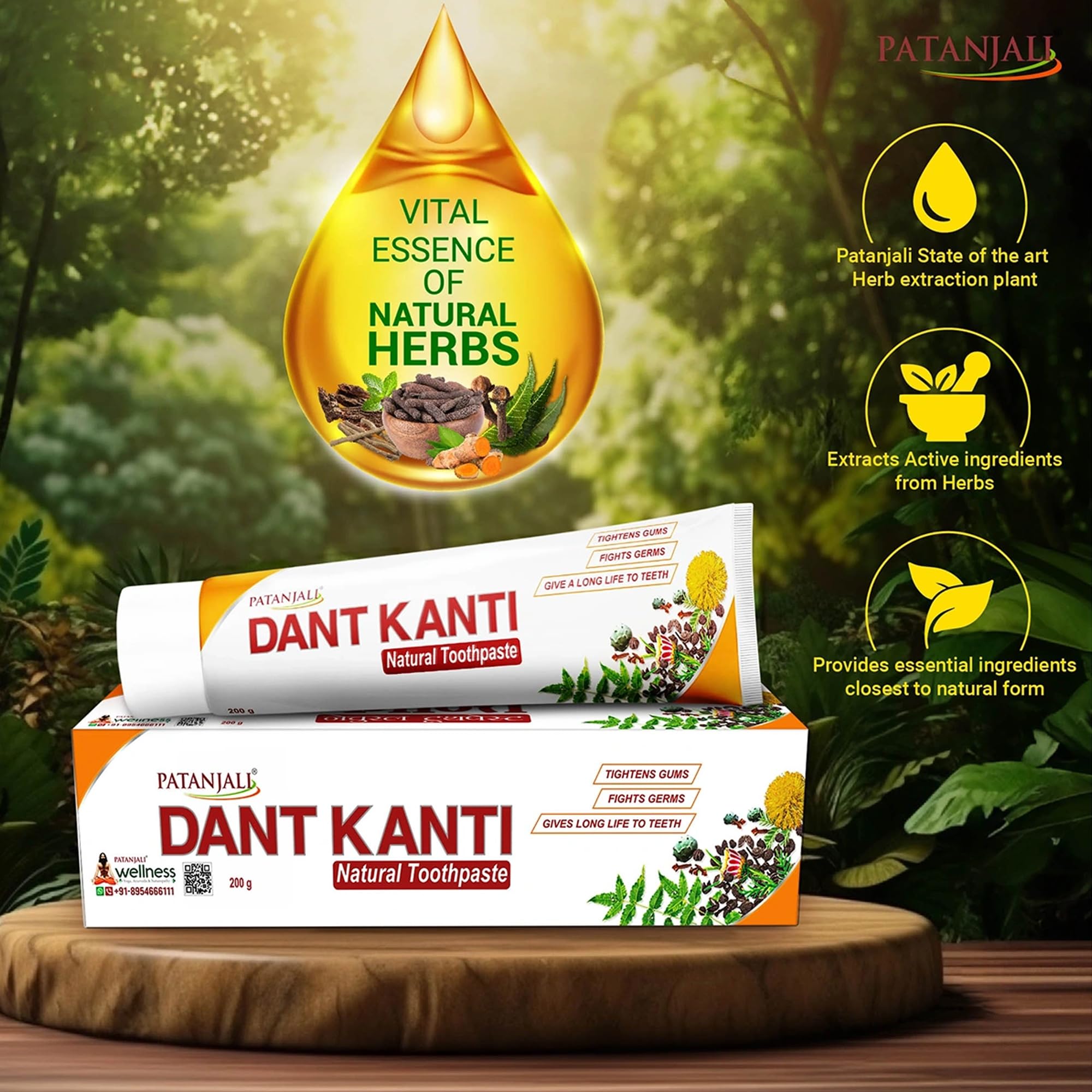 Assorted Dant Kanti ingredients: akarkara, neem, and babool