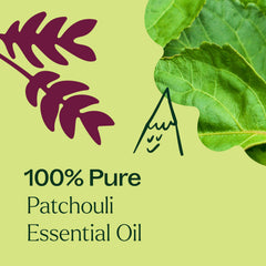 Patchouli essential oil aroma for aromatherapy
