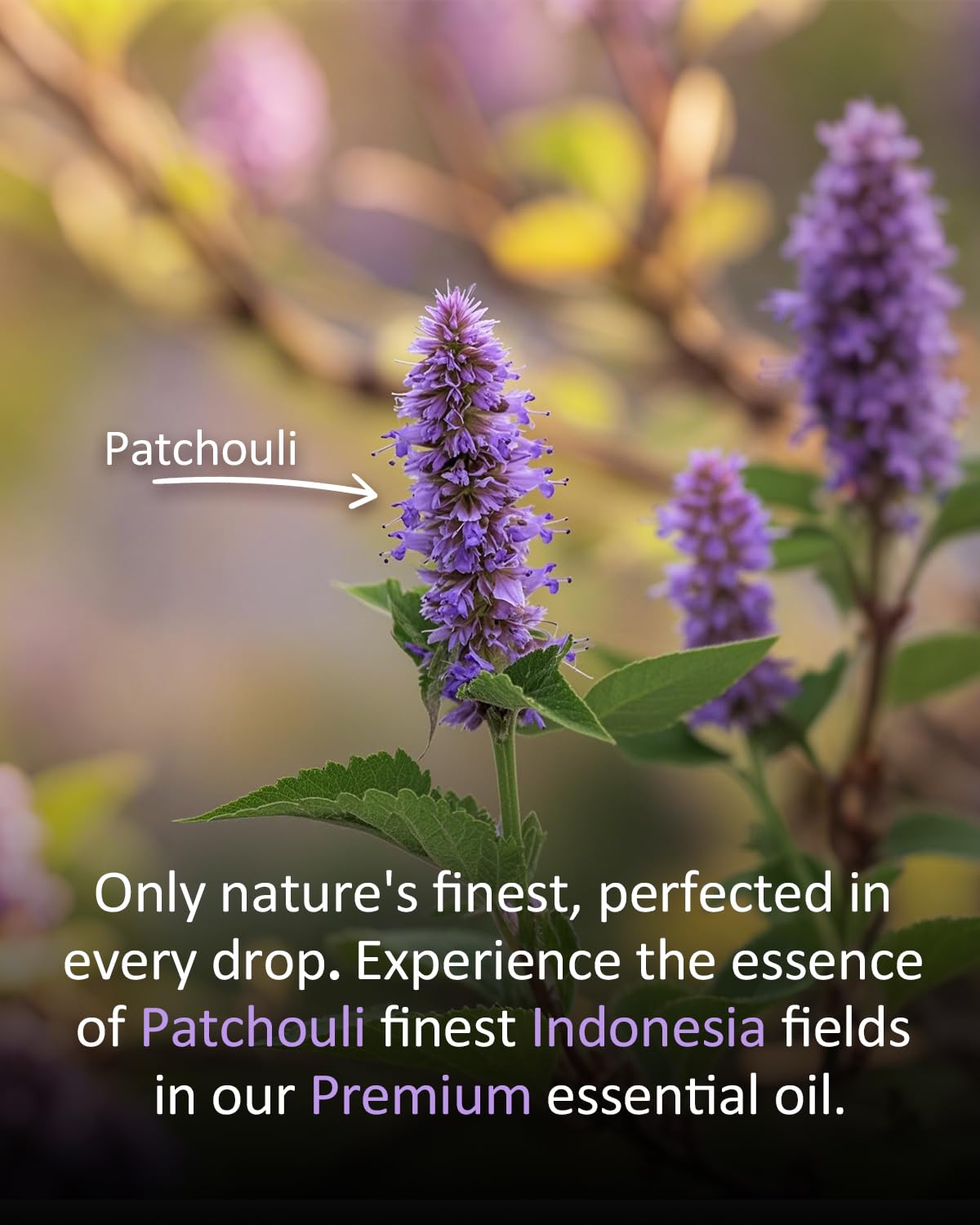 Patchouli essential oil for soap making