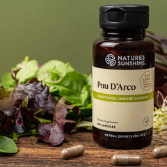 Pau D'Arco herbal supplement capsules on white background