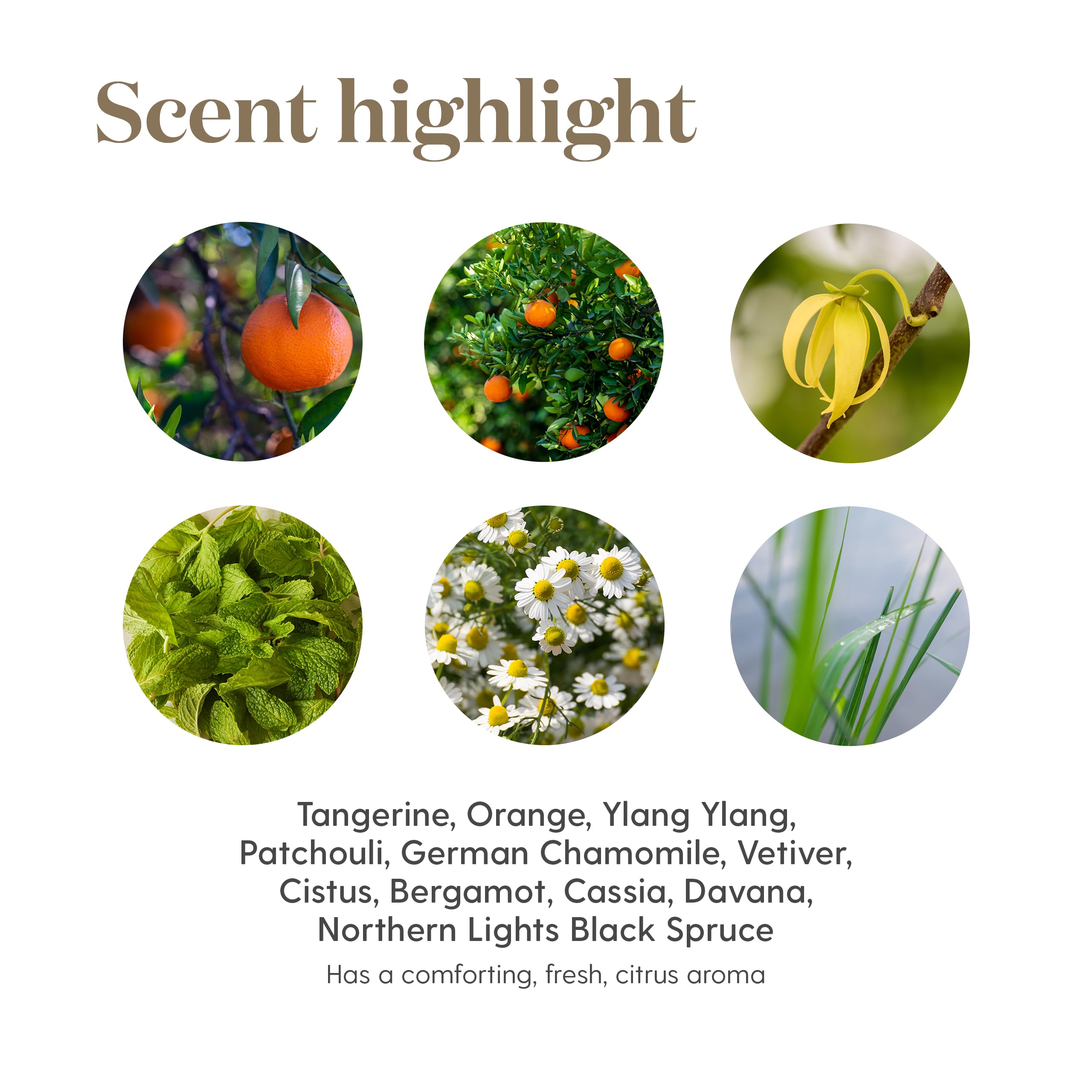 Peace & Calming II 5 ml bottle being used