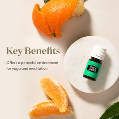 Peace & Calming II 5 ml in diffuser setup