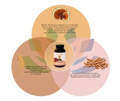 Product packaging showing dosage instructions