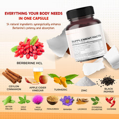 Illustration of 14-ingredient blend including Berberine Cinnamon ACV Turmeric