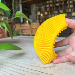 Penepico sensory brush soft-pointed variant provides targeted tactile stimulation for exploration.