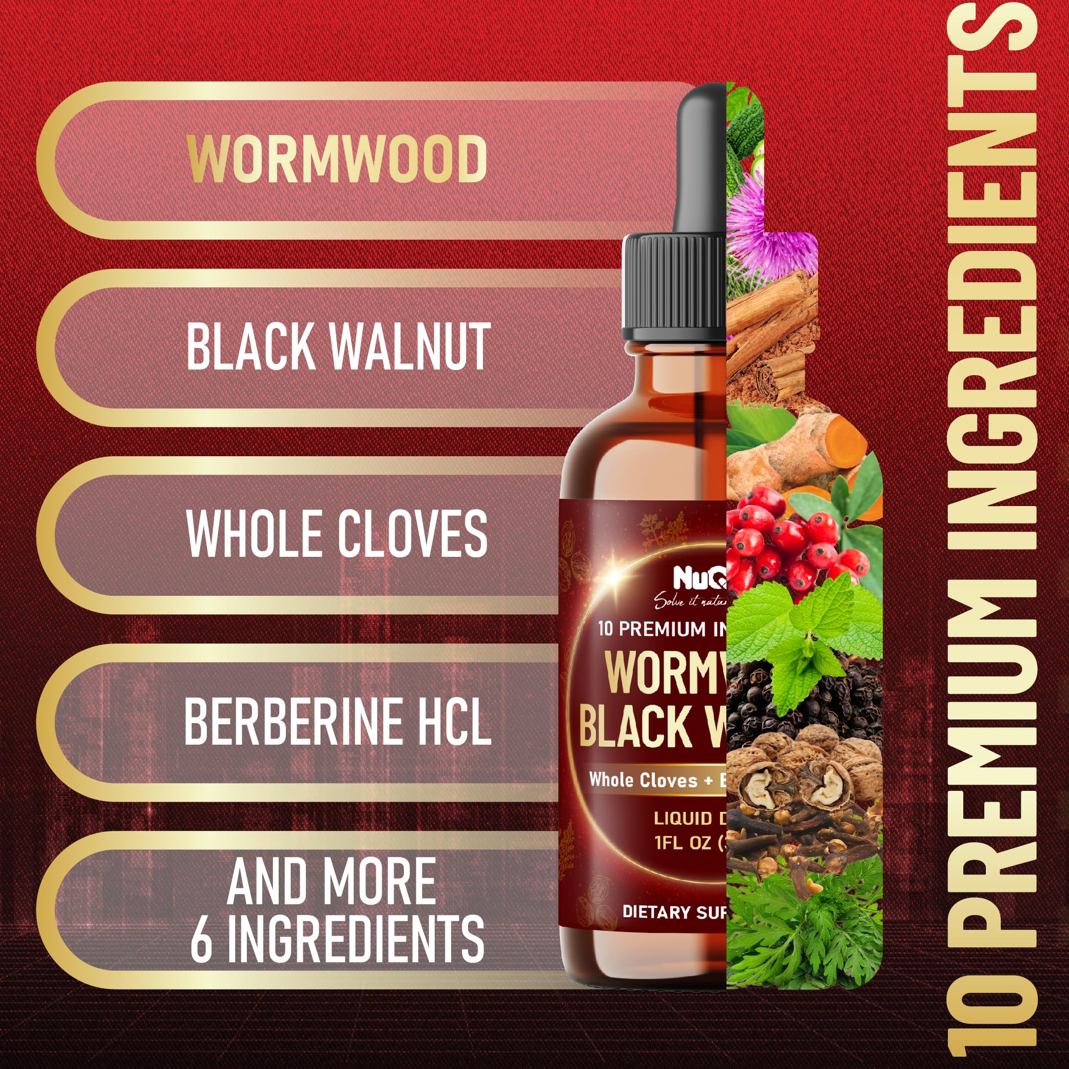 Peppermint, cinnamon, and black pepper illustration