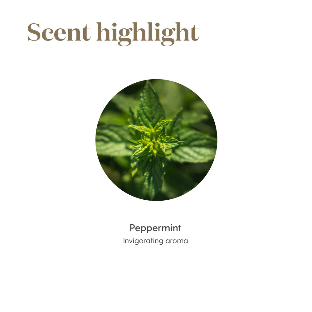 Diffuser releasing Peppermint aroma in a room