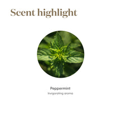 Diffuser releasing Peppermint aroma in a room