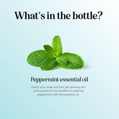 Aromatherapy diffuser emitting peppermint fragrance