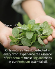 Peppermint essential oil diffuser blend ideas