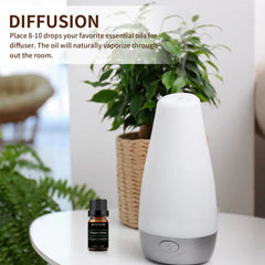Diffuser scene with peppermint essential oil