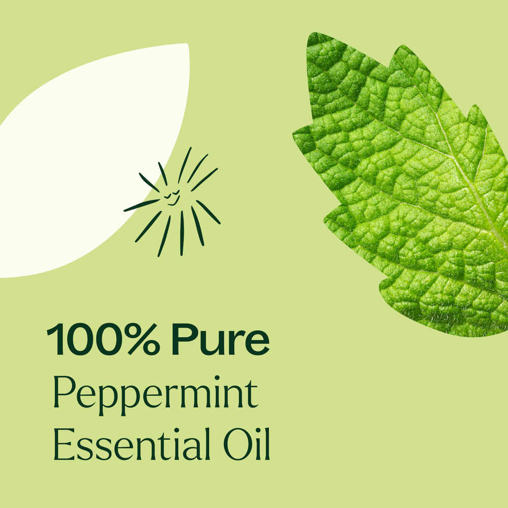 Peppermint essential oil for digestion and respiration