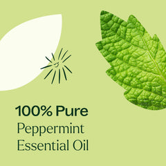 Peppermint essential oil for digestion and respiration