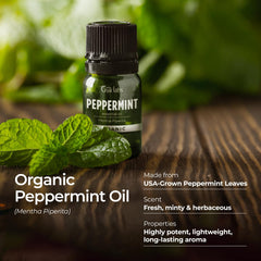 Peppermint oil for hair care and fullness