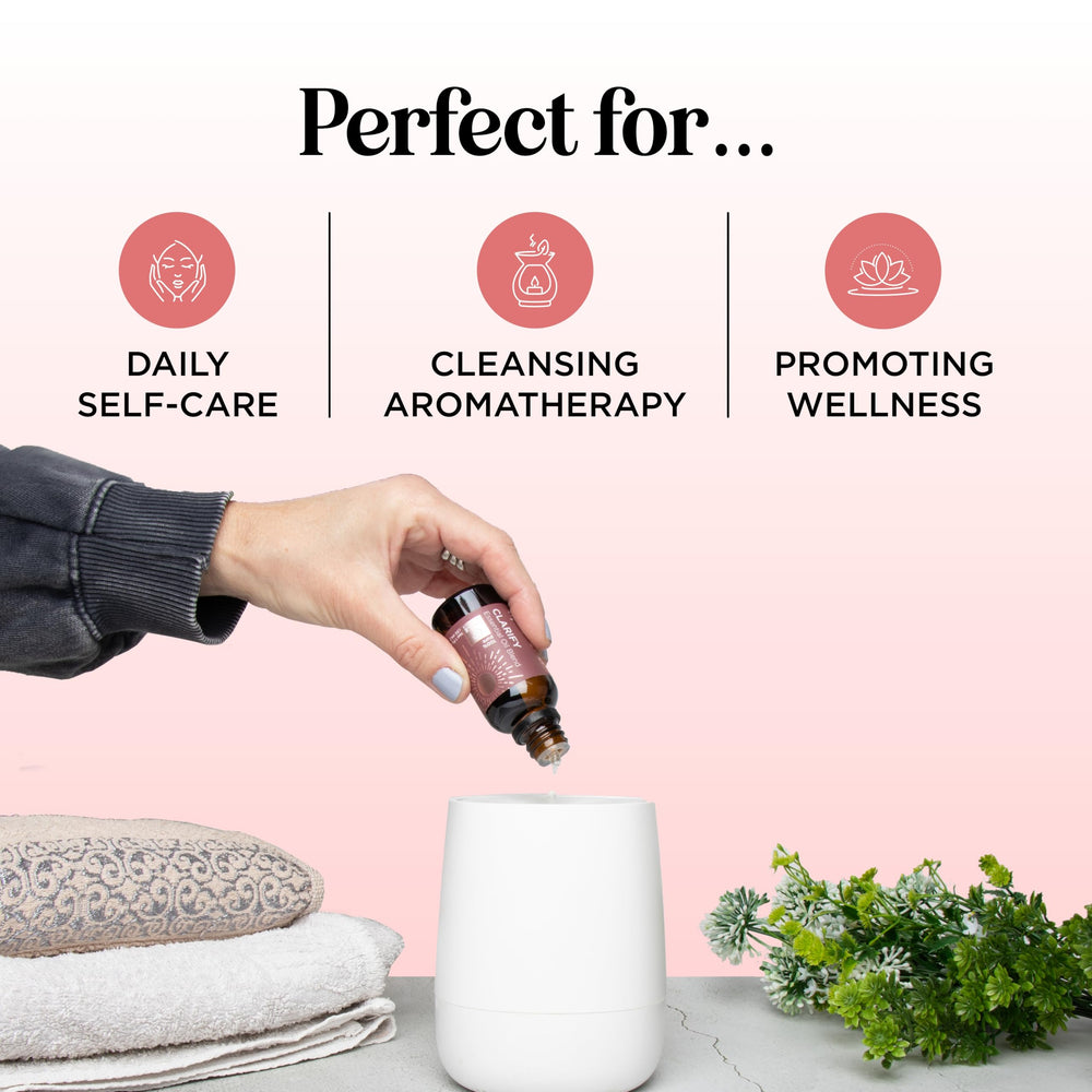 Close-up of peppermint, rosemary and lavender essential oils