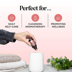 Close-up of peppermint, rosemary and lavender essential oils