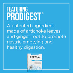 Illustration representing improved digestive health with enzymes