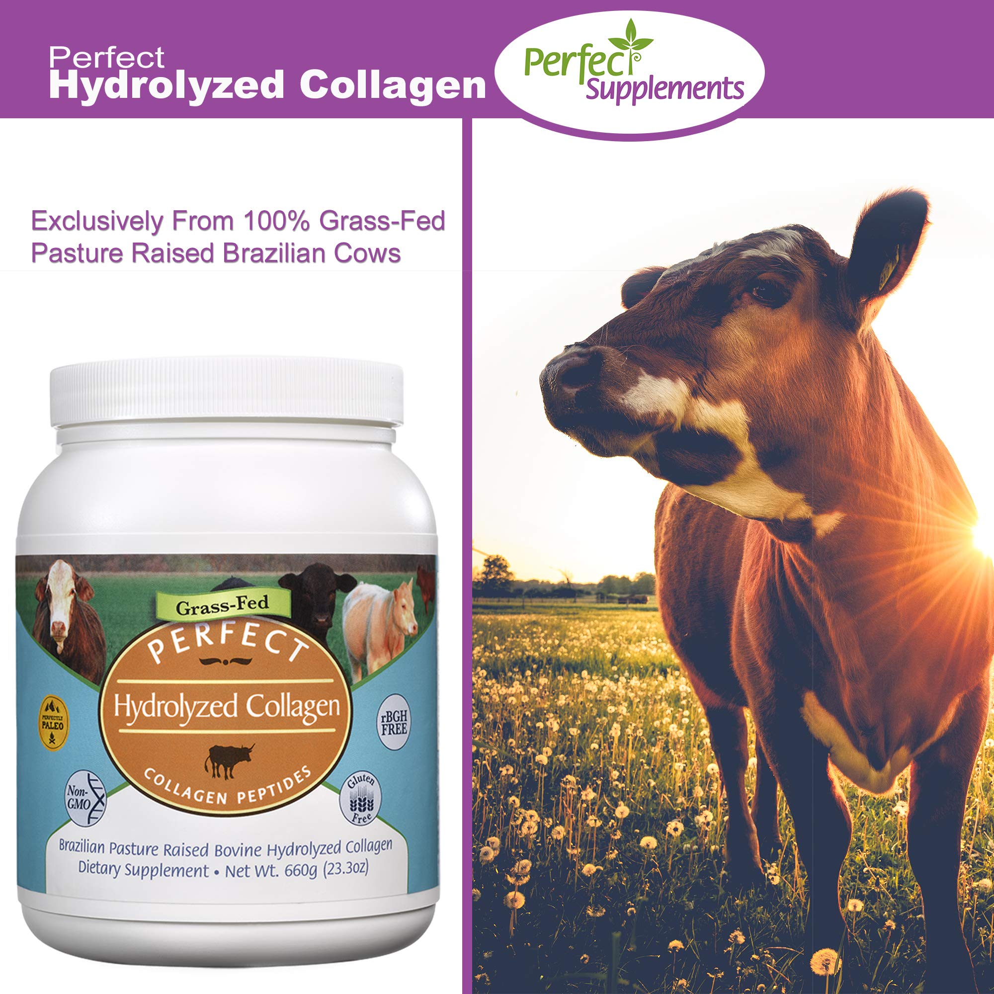 Packaging showing Gluten Free, Non-GMO, Hormone Free, Paleo Friendly claims