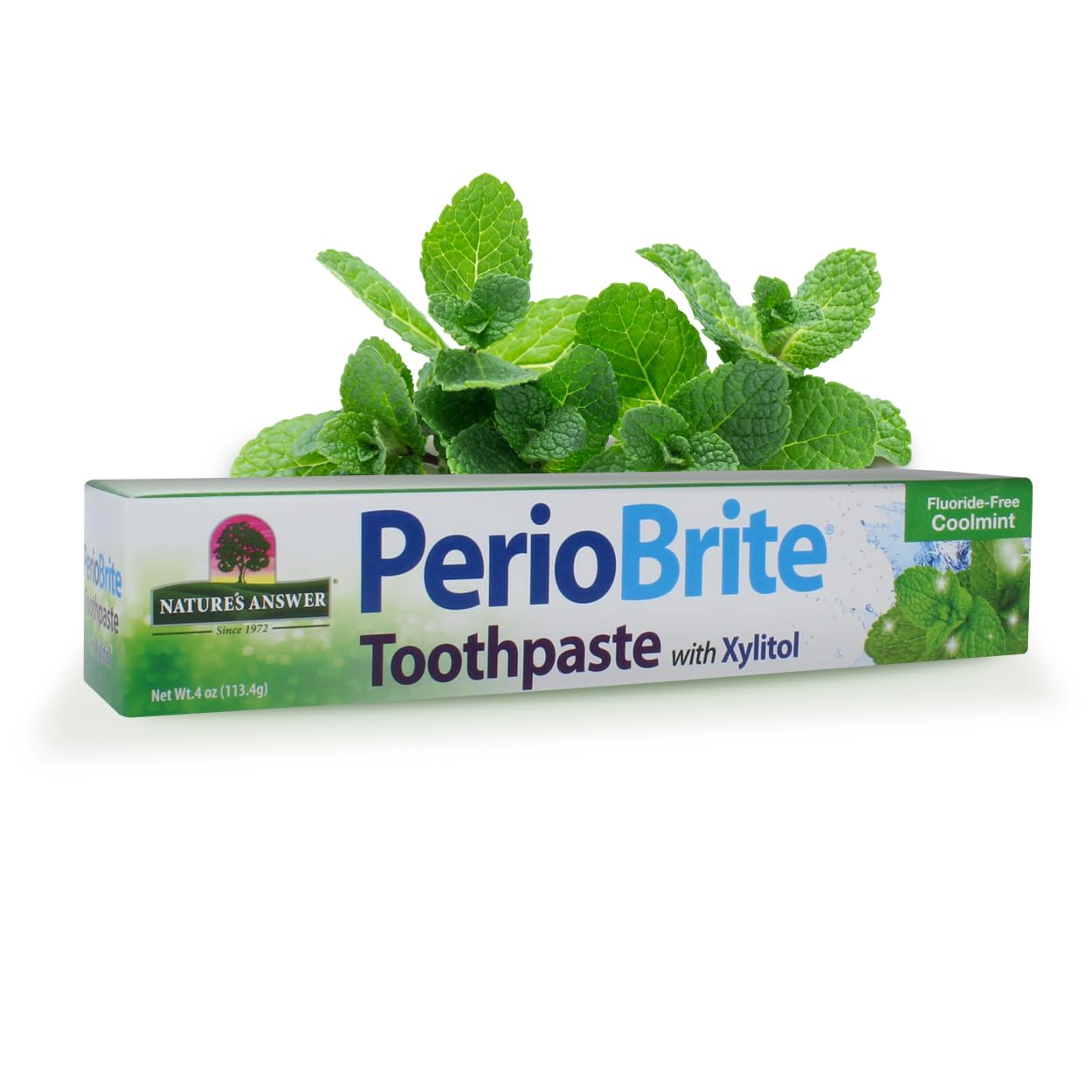 PerioBrite toothpaste Cool Mint pack of 6 – front view