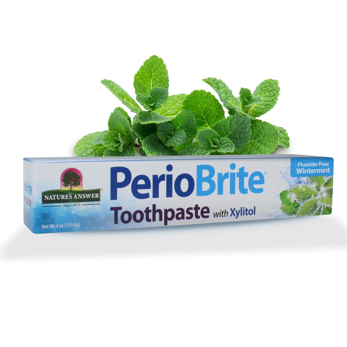 Front view of Nature's Answer PerioBrite Wintermint toothpaste 4 oz tube
