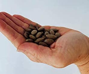 Herbal capsules of Peter's Choice Kidney Rejuvenator