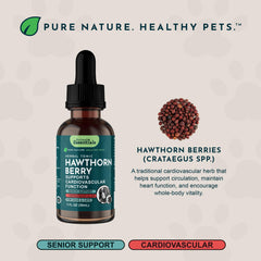 Dog and cat heart health drops for daily use