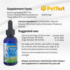 Nerve support for diabetic pets