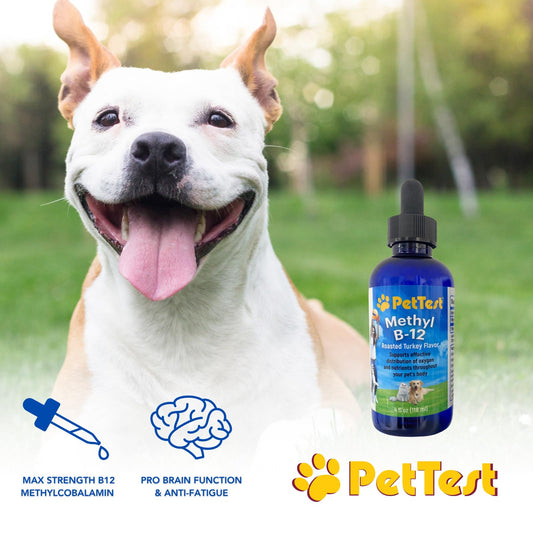 Roasted Turkey flavor Methyl B12 Drops for pets.