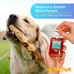 Advocate PetTest strip close-up ready for small blood sample