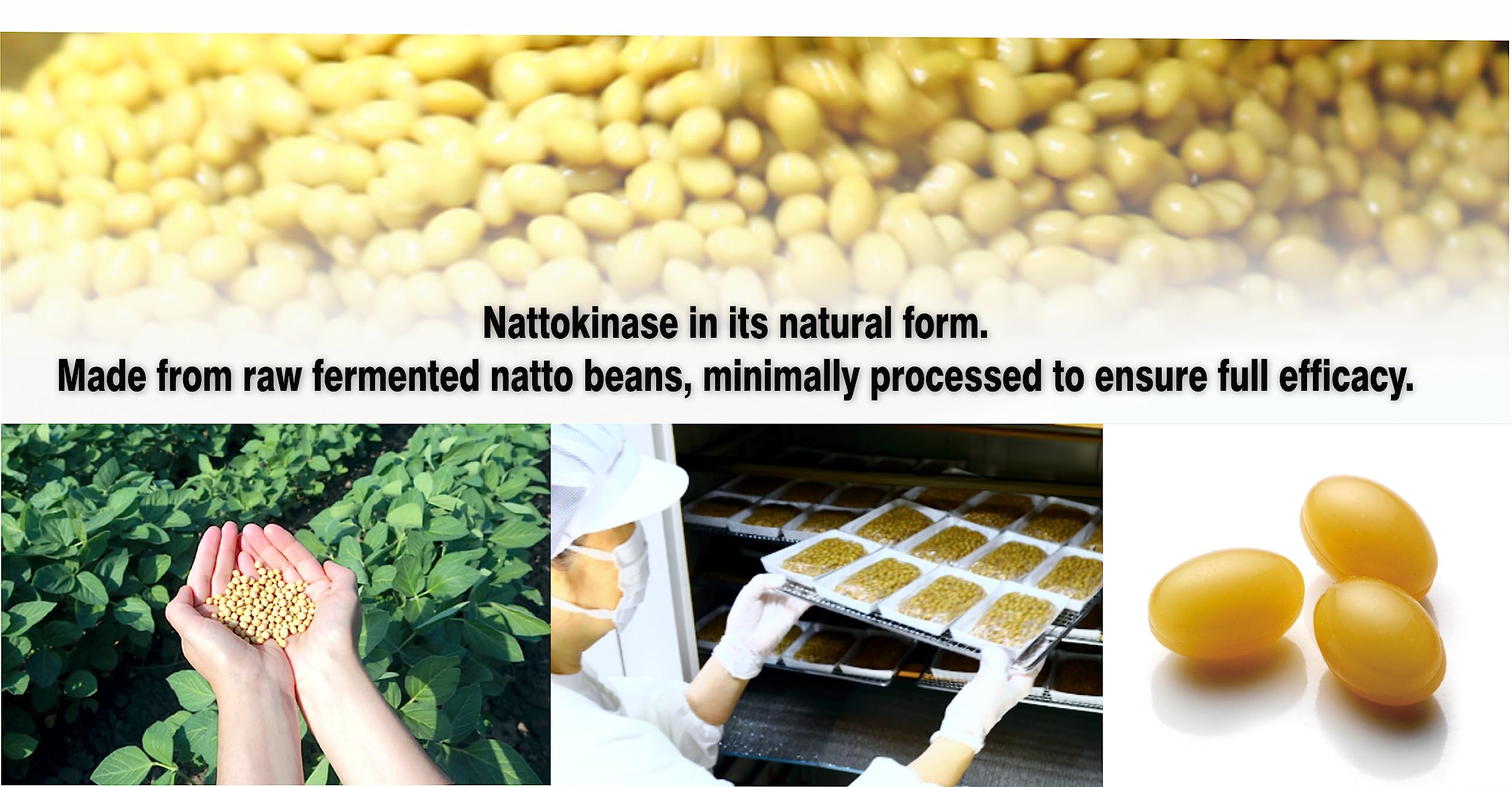 PHARMAKON nattokinase fermentation process image illustrating natural, minimal processing.