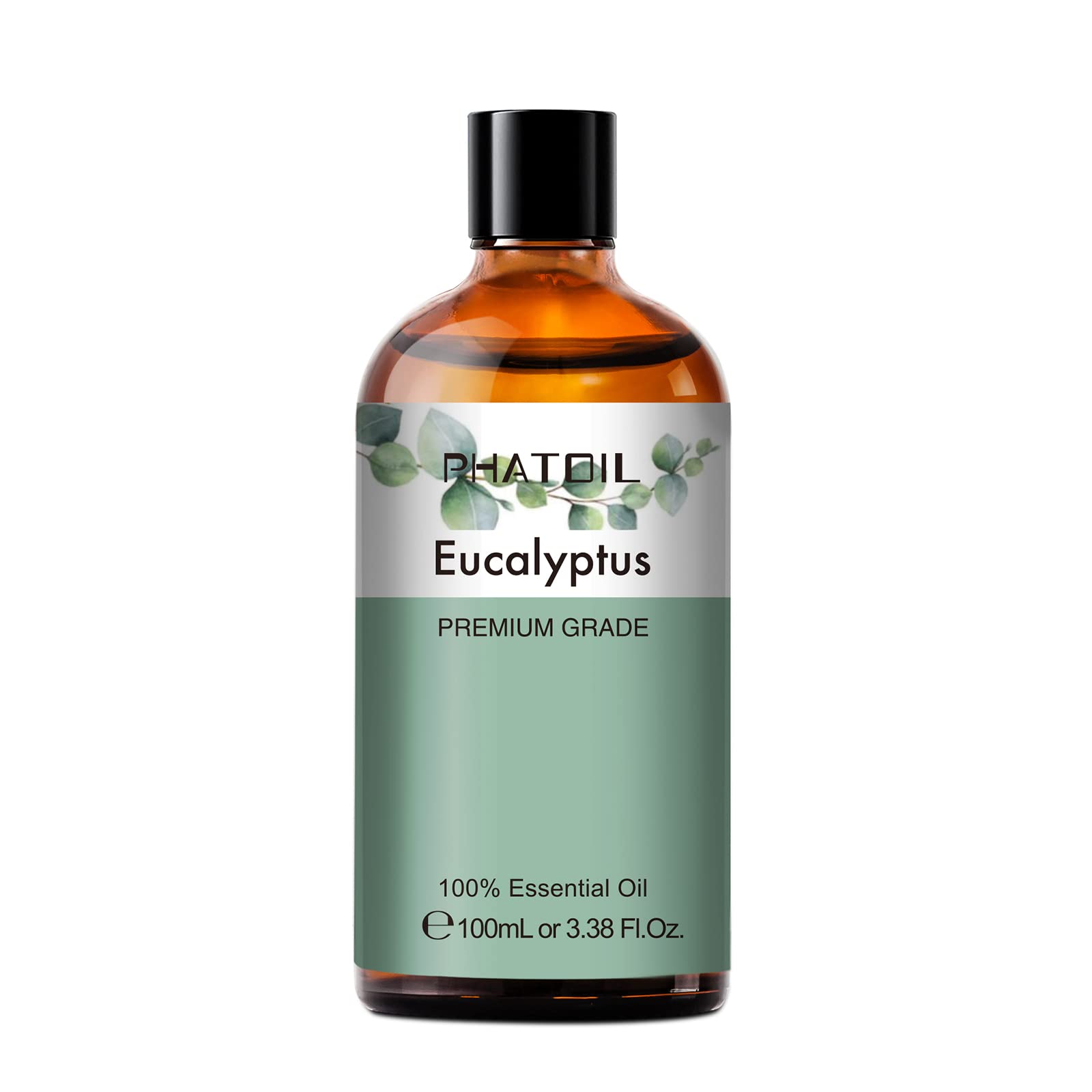 Close-up of eucalyptus leaves used for essential oil