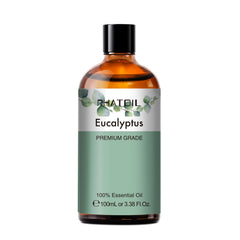 Close-up of eucalyptus leaves used for essential oil