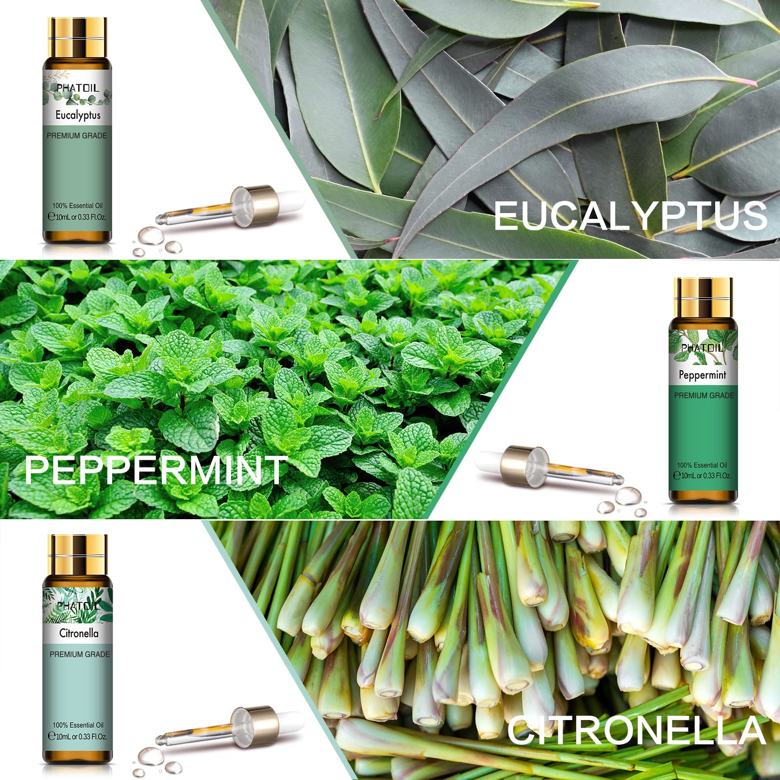 PHATOIL 9pcs Peppermint Essential Oil 10ml