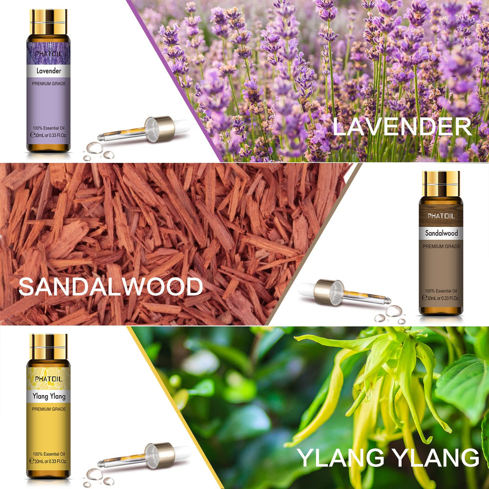 PHATOIL 9pcs Vanilla Essential Oil 10ml