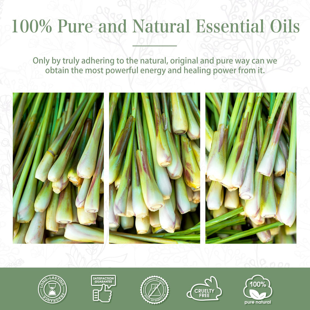 Long-lasting citronella fragrance for home use