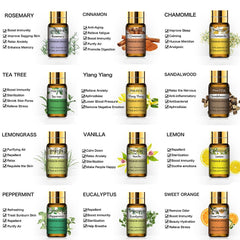 Lemon essential oil bottle from PHATOIL 12x5ml set