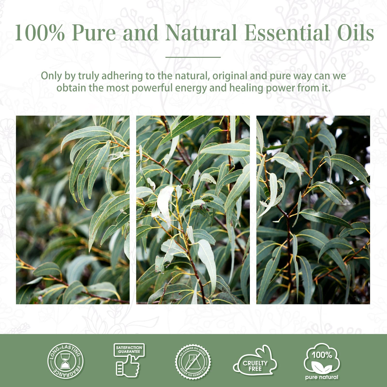 Home aromatherapy setup with essential oil bottle