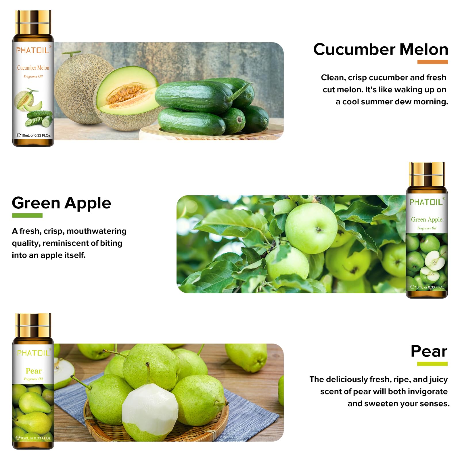 Cucumber Melon fragrance oil bottle (10ml)