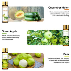 Cucumber Melon fragrance oil bottle (10ml)