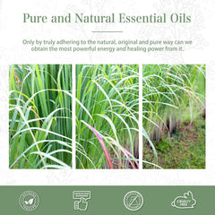 Glass dropper included with PHATOIL lemongrass essential oil
