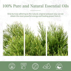 Steam-distilled Tea Tree essential oil