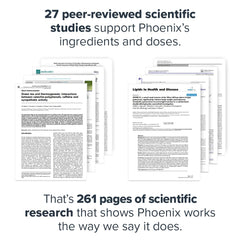 Transparent label showing Phoenix fat burner ingredients