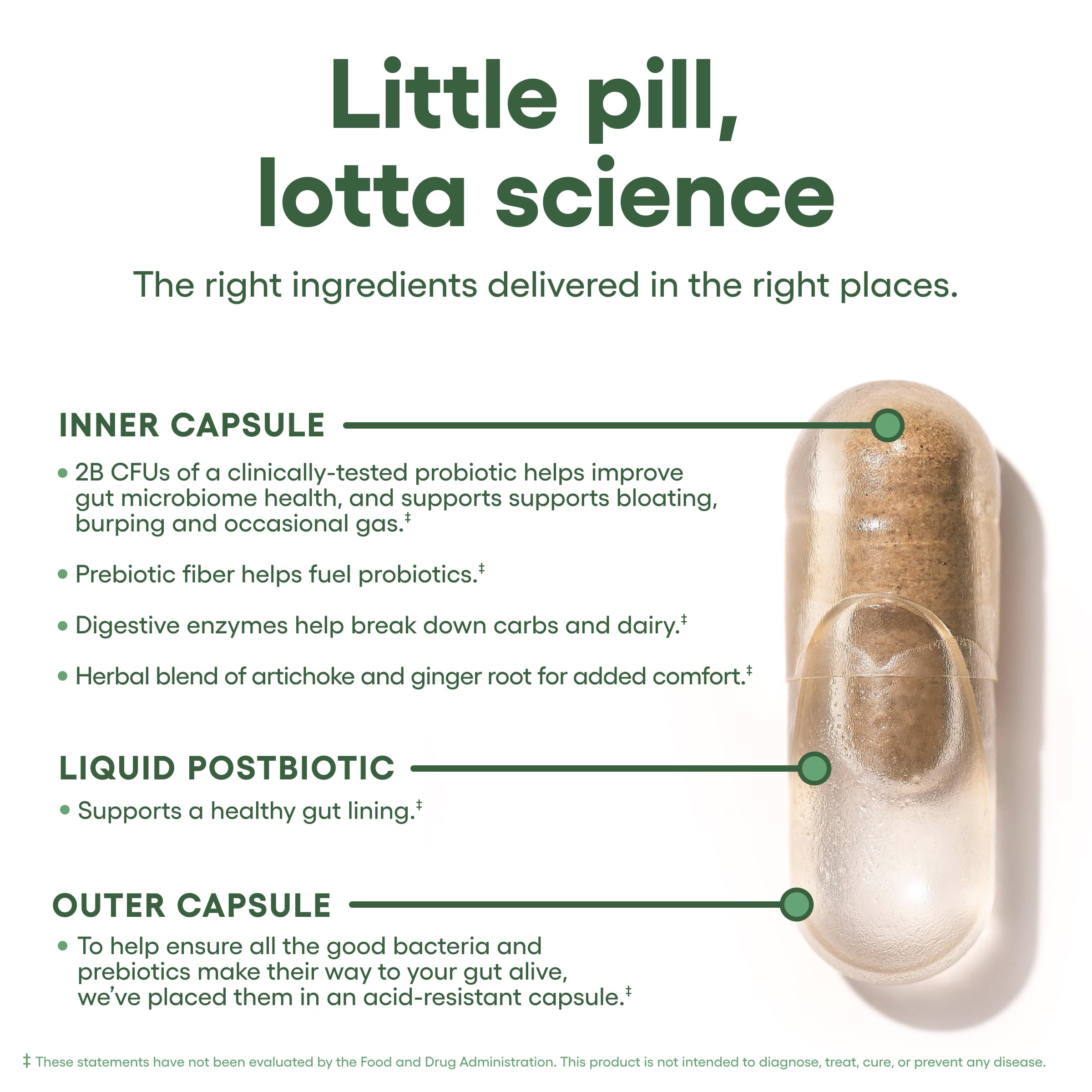 Graphic showing ingredients: prebiotics, probiotics, postbiotics, enzymes, herbs