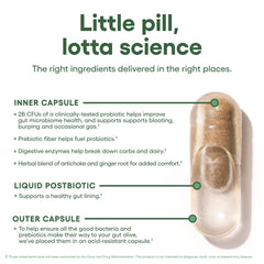 Graphic showing ingredients: prebiotics, probiotics, postbiotics, enzymes, herbs